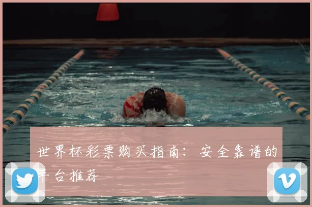 世界杯彩票购买指南:安全靠谱的平台推荐