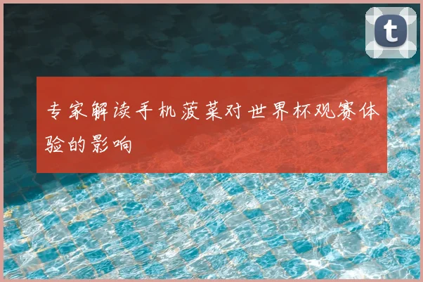 专家解读手机菠菜对世界杯观赛体验的影响