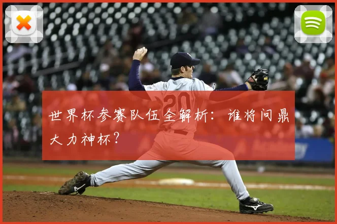 世界杯参赛队伍全解析:谁将问鼎大力神杯?