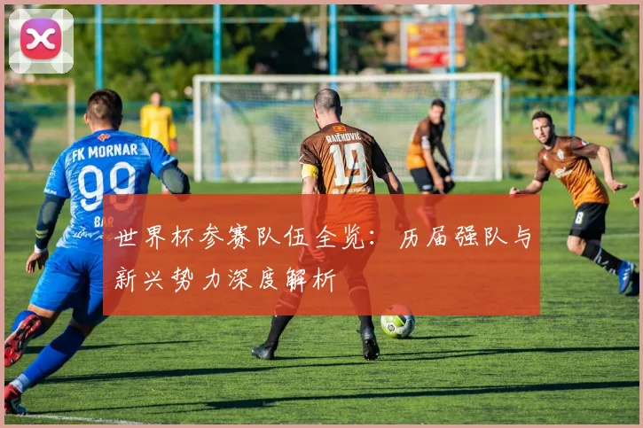 世界杯参赛队伍全览:历届强队与新兴势力深度解析
