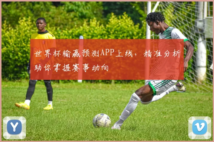 世界杯输赢预测APP上线,精准分析助你掌握赛事动向