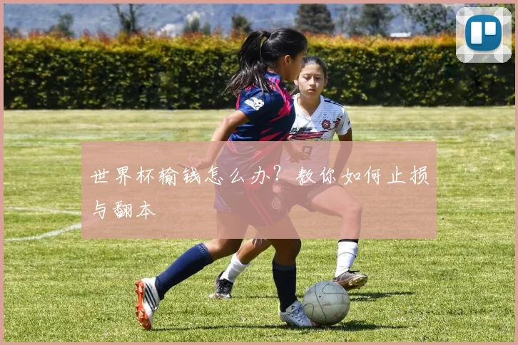 世界杯输钱怎么办?教你如何止损与翻本