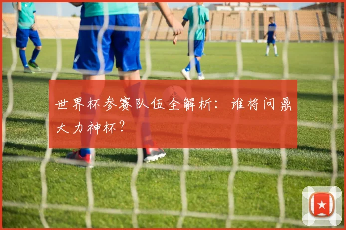 世界杯参赛队伍全解析:谁将问鼎大力神杯?